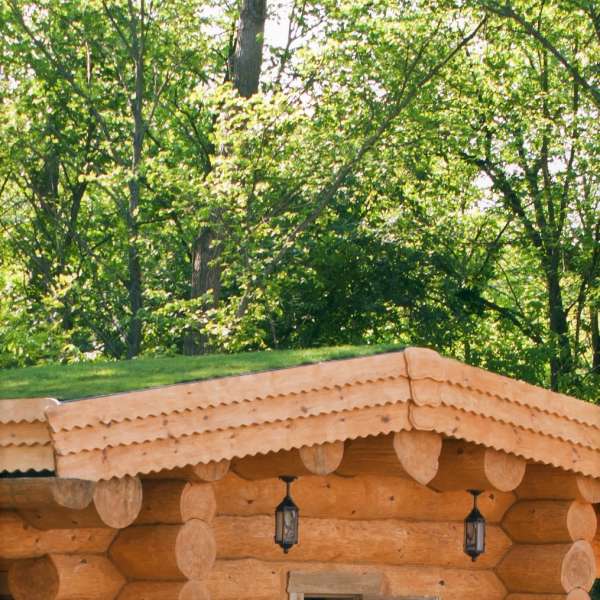 Green roofs